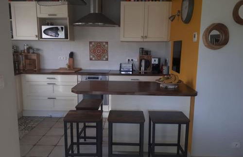 Maison dans les Landes au bord de l'océan - Foto 32