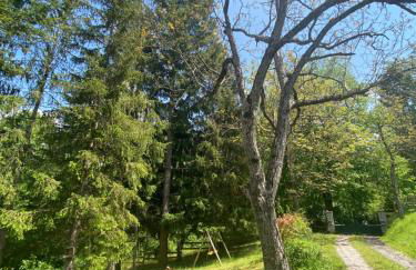 La Genevraie - Foto 15