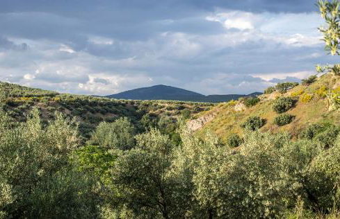 Vivienda rural del salado - Foto 60