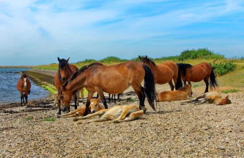 Vitre Gardens - Foto 45