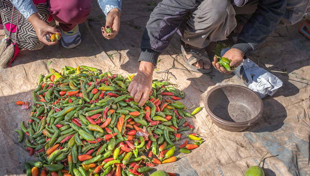 Selezionando gli ingredienti
