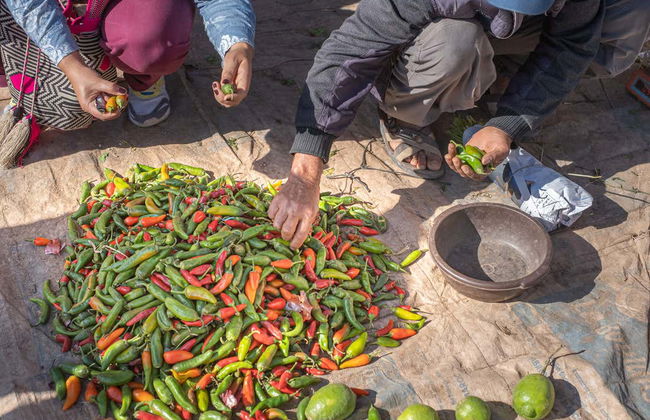 Cours de cuisine marocaine dans un village traditionnel - Photo 3