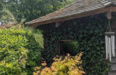 Artist's Hawkhurst Home with Heated Pool & Sauna - Foto 39