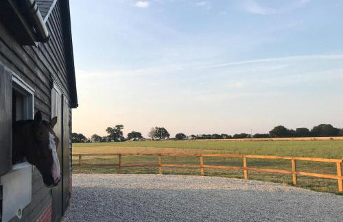 2 Bed in Newton oc-swro - Foto 11