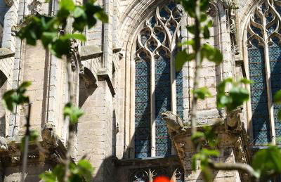 Le Kozy - T2 rénové au coeur de Vendôme avec parking - Foto 22