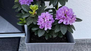 KLIMATISIERTE schöne 110 qm große moderne und helle Wohnung - Foto 2