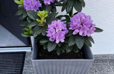 KLIMATISIERTE schöne 110 qm große moderne und helle Wohnung - Foto 2