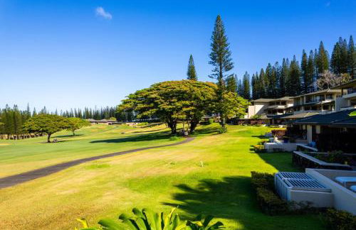 Kapalua Golf Villas 2 Free cars KBM Resorts Large Bedrooms 2 Units 3 Bedrooms ML-2189 - Foto 75