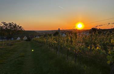 Gemütliche Ferienwohnung - Studio - an der Obernbreiter Kanzel - 50 m bis zu den Weinbergen - Foto 17