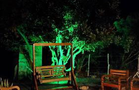 Cantim da Flor - Vale do Capão - Foto 8