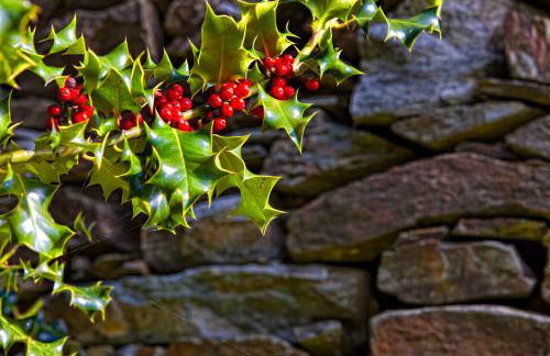 La Era De Somao - Photo 16