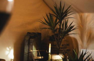 L'Insolite, expérience safari chic à Saumur - Foto 13