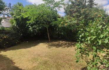 Maison et jardin Nantes Chantenay - Foto 3