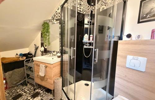 Vitré centre-ville château gare - Foto 9