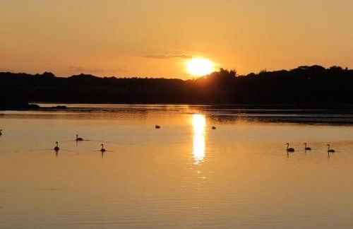 gite proche de la ria d'ETEL - Foto 11