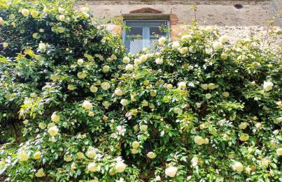 Il Poggio di Teo - Foto 25