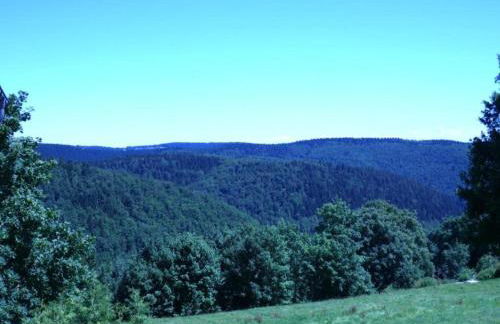 Einladende Ferienwohnung mit Garten - Foto 44