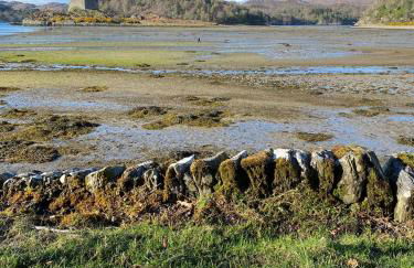 Brackenbrae Holiday Cottage - Photo 38