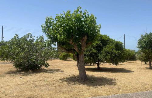 Aegean Endless Summer Villa Pefkos - Foto 41