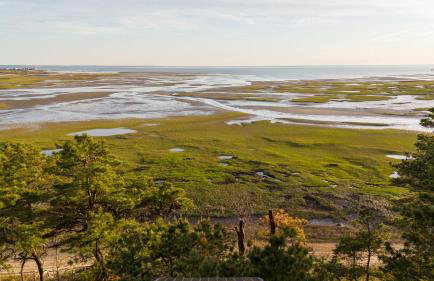 Cape Getaway by Leavetown Vacations - Foto 41