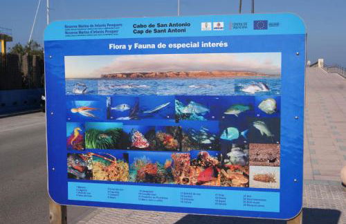 Apartamento Las Marinas II en Dénia - Foto 62