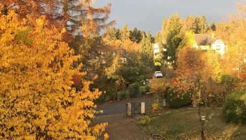 Ferienhaus "Vier Jahreszeiten" - Foto 5, Garden view