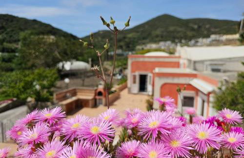 Casa Francesca Ponza - Foto 23