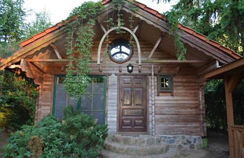 Domki nad Jeziorem Ołów - Foto 15