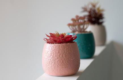 La CAPEYRONNAISE - MAISON COSY - JARDIN - Foto 12