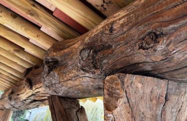 appartement de standing avec jacuzzi exterieur - Foto 12