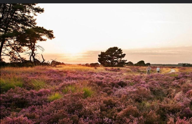 Holiday Home in Voeren Near Nature Park - Foto 41