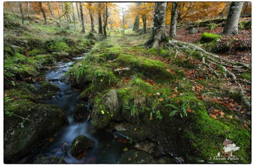 Casa Turismo Rural O FILANDÓN - Foto 18