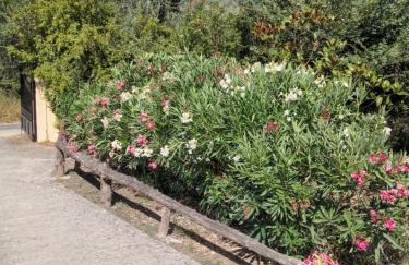 Villa Nino - Foto 14