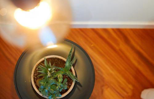 Villa Rosa Residence - Foto 56