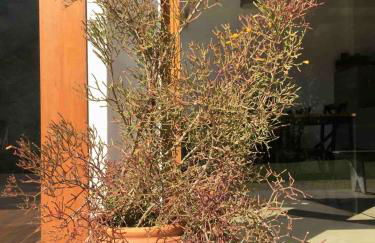 Reserva Atibaia / Casa de Montanha - Photo 9