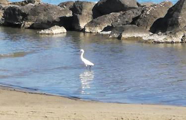 a casa Minerva - Foto 44