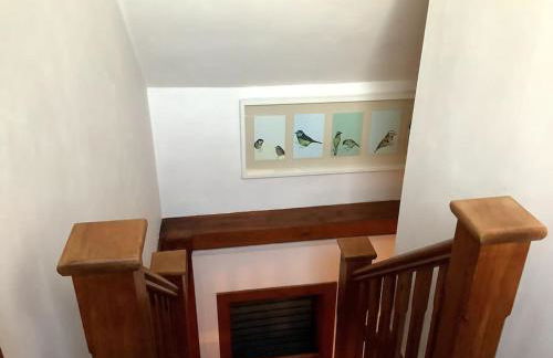 Selfcatering Coach House New Forest Dog Friendly - Foto 20