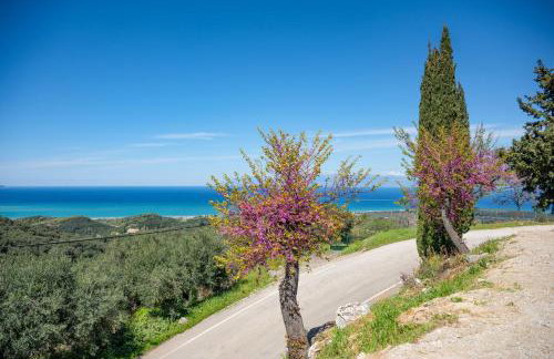 Villa Hercules - Foto 21