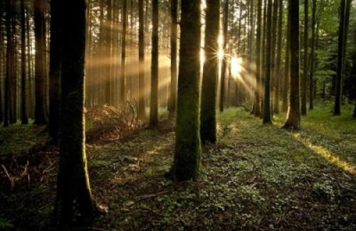 Appartamento montano illuminato dalla Via Lattea - Foto 9