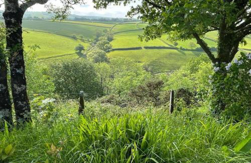 Kingfisher, Moor and Sea Holidays, a beautiful space overlooking Exmoor - Foto 16