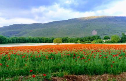 Casa vacanze Acero rosso - Foto 40