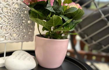 Blick auf den Rhein - Foto 44