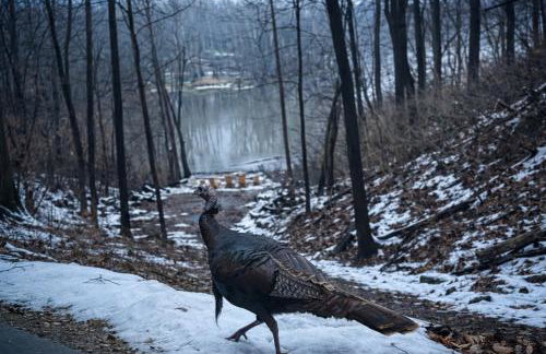 RiverEdge Haven Hot Tub, 5 Beds, Kayaks Near ND - Foto 68