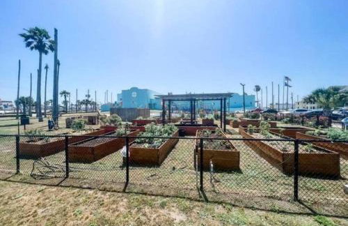 The Tides of Galveston Pet Friendly Walk to Beach - Photo 24