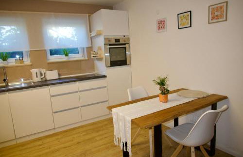 Rhönland - Souterrain-Studio in Künzell - Fulda - Foto 19