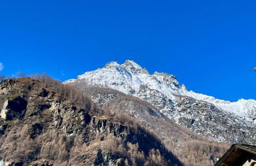 Il nido di Curlo - Foto 35