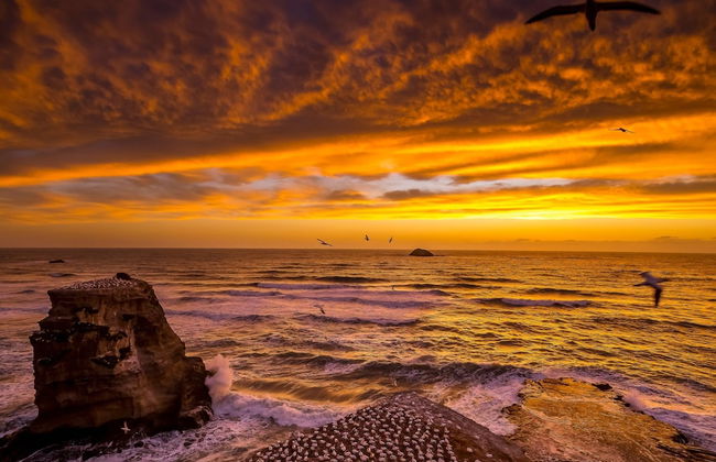 Sunset Capital Of The World - Photo 17