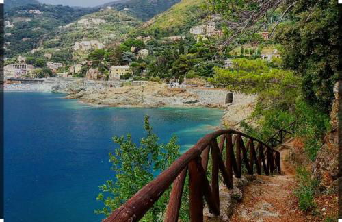 L' eden di Erasmo - Foto 60