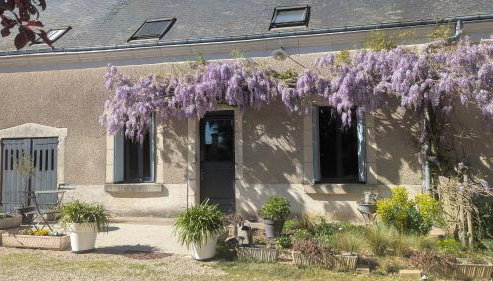 La Fermaletrie - Foto 3