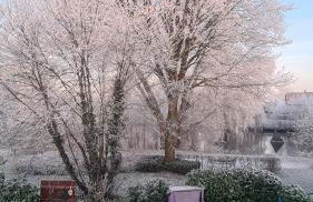 Haus am See - Urlaub im Herzen des Münsterlands - Foto 15